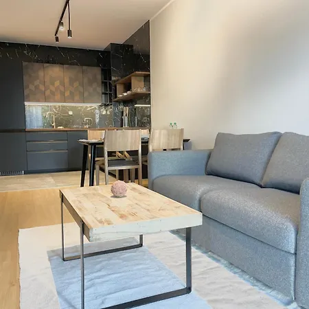 Bielsko-biała Diamond By Bookinghost Apartament Bielsko-Biała